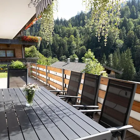 Gondelblick * Alpbach